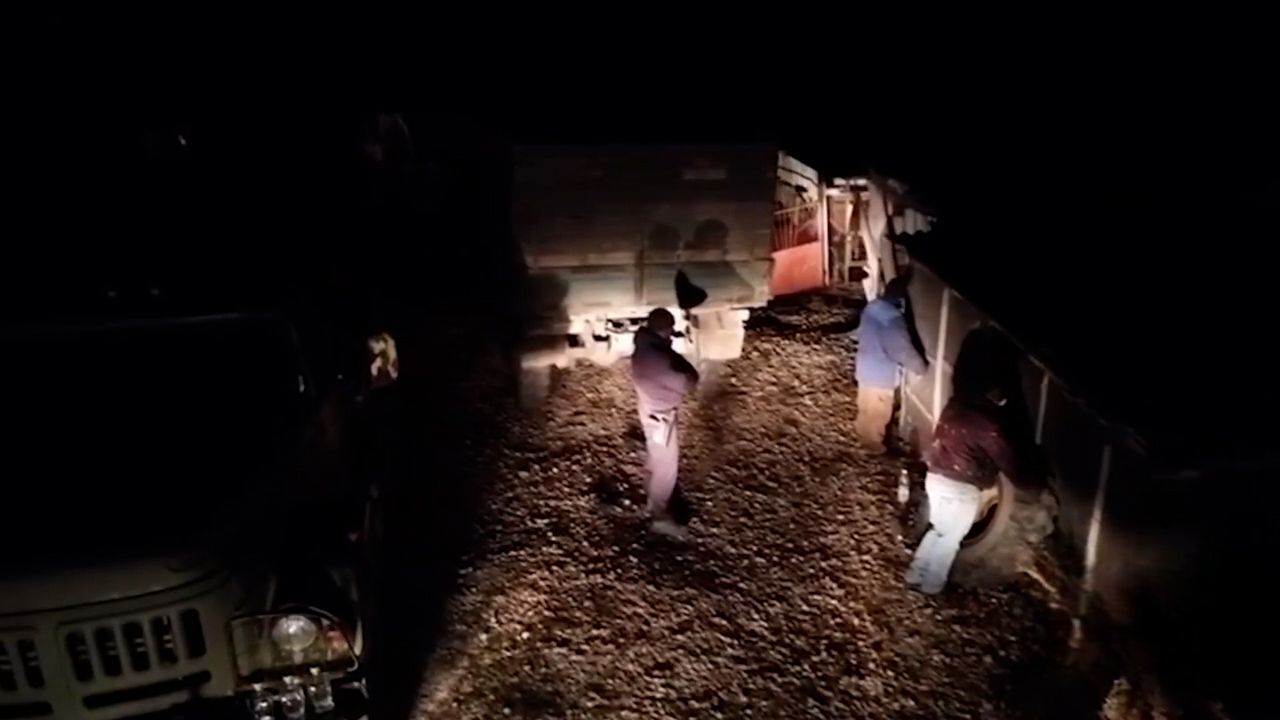 Десятерых участников бизнеса по продаже похищенного топлива осудят в Волгоградской области