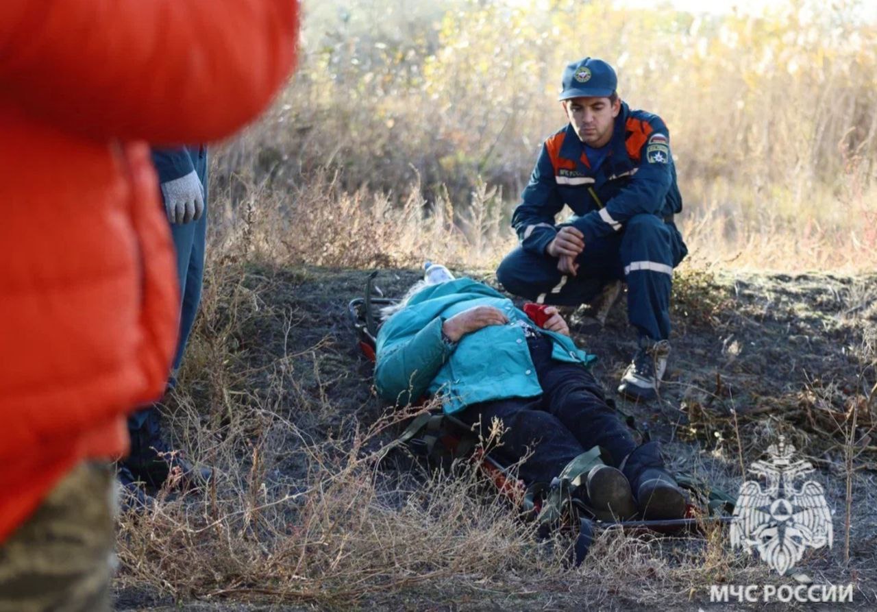 В зарослях камыша под Волгоградом нашли пробывшую два дня в лесу пенсионерку
