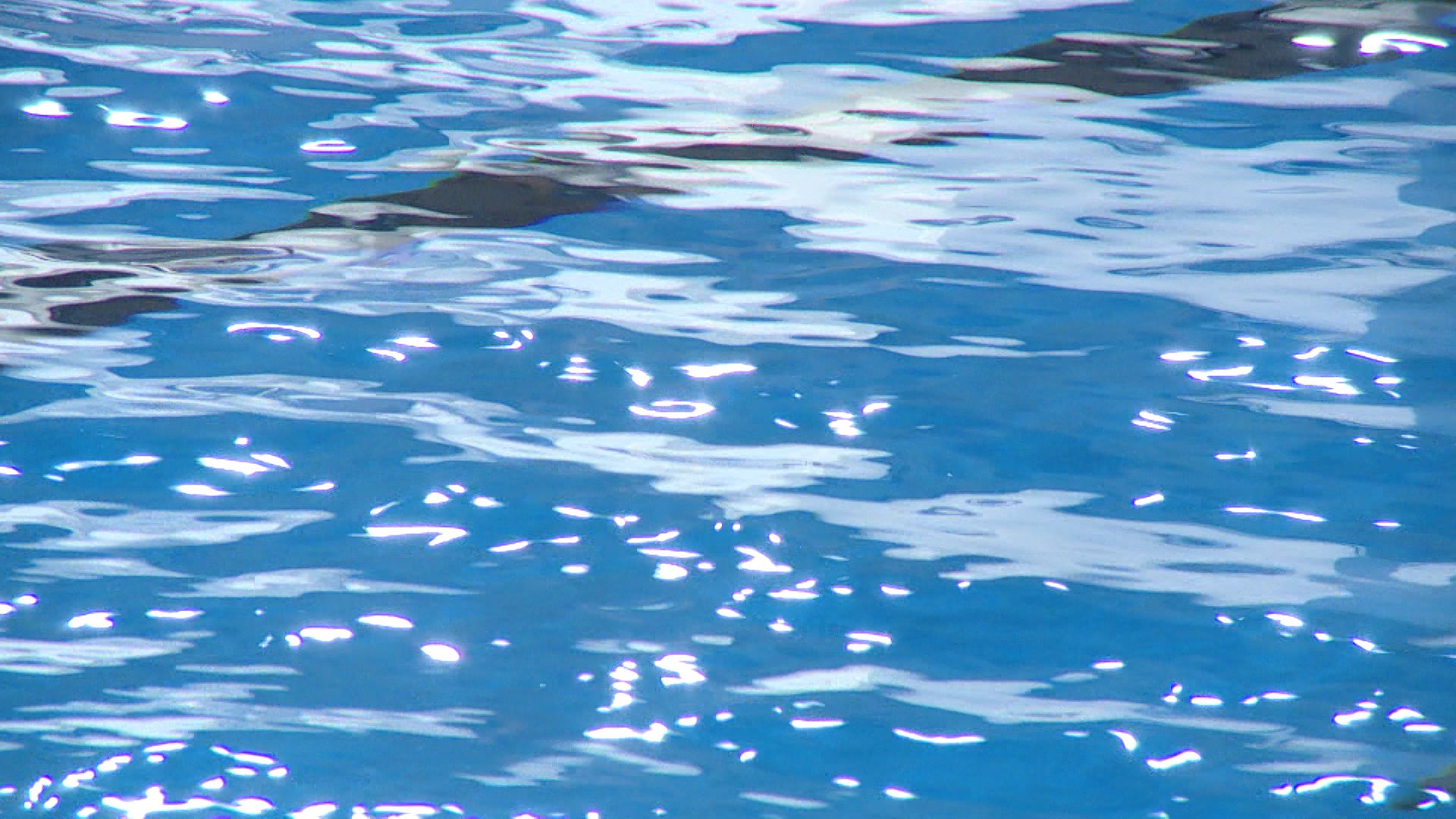 Не заглатывать воду и не ходить босиком: волгоградцам напомнили о правилах посещения бассейнов