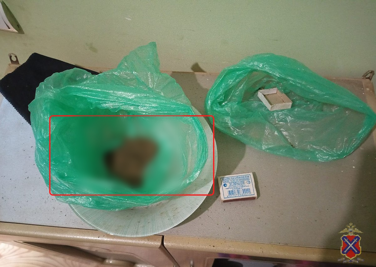 100 гр марихуаны с собой: в Волгоградской области задержали подозреваемого в наркосбыте