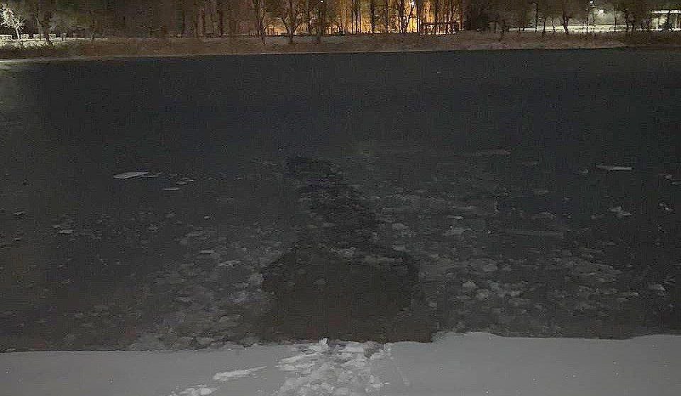 Мужчина спас четырех школьников, провалившихся под лед на пруду под Волгоградом