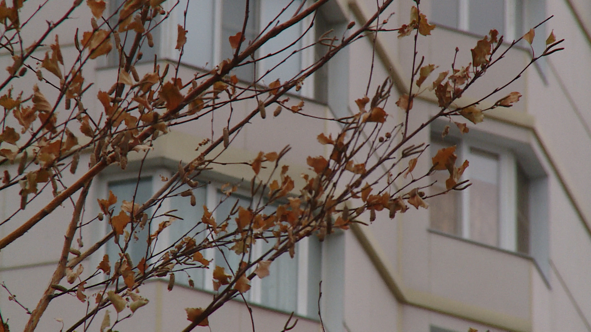 В Волгограде нашли поставщика 41 новой квартиры для маневренного фонда