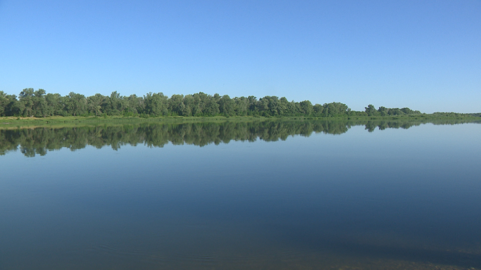Вредителям природы в Волгоградской области выдали 370 предостережений
