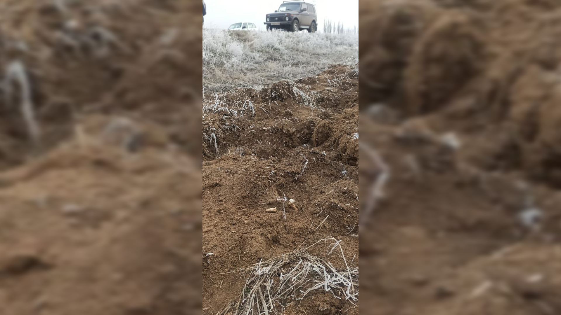 Прокуратура проверяет информацию о повреждении неучтенного воинского захоронения под Волгоградом