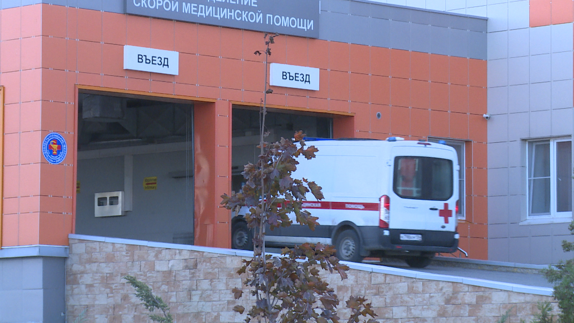 Волгоградские врачи спасли волжанку от ядовитого укуса вьетнамской змеи