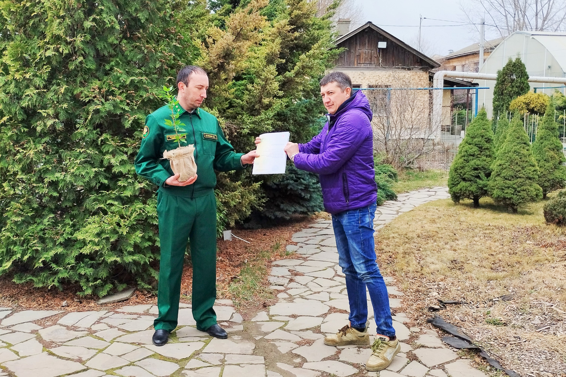 Клон легендарного сталинградского тополя высадят 23 марта в Краснодарском крае