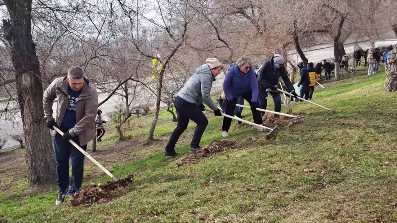 Более 1500 человек вышли на первый субботник в Волгограде