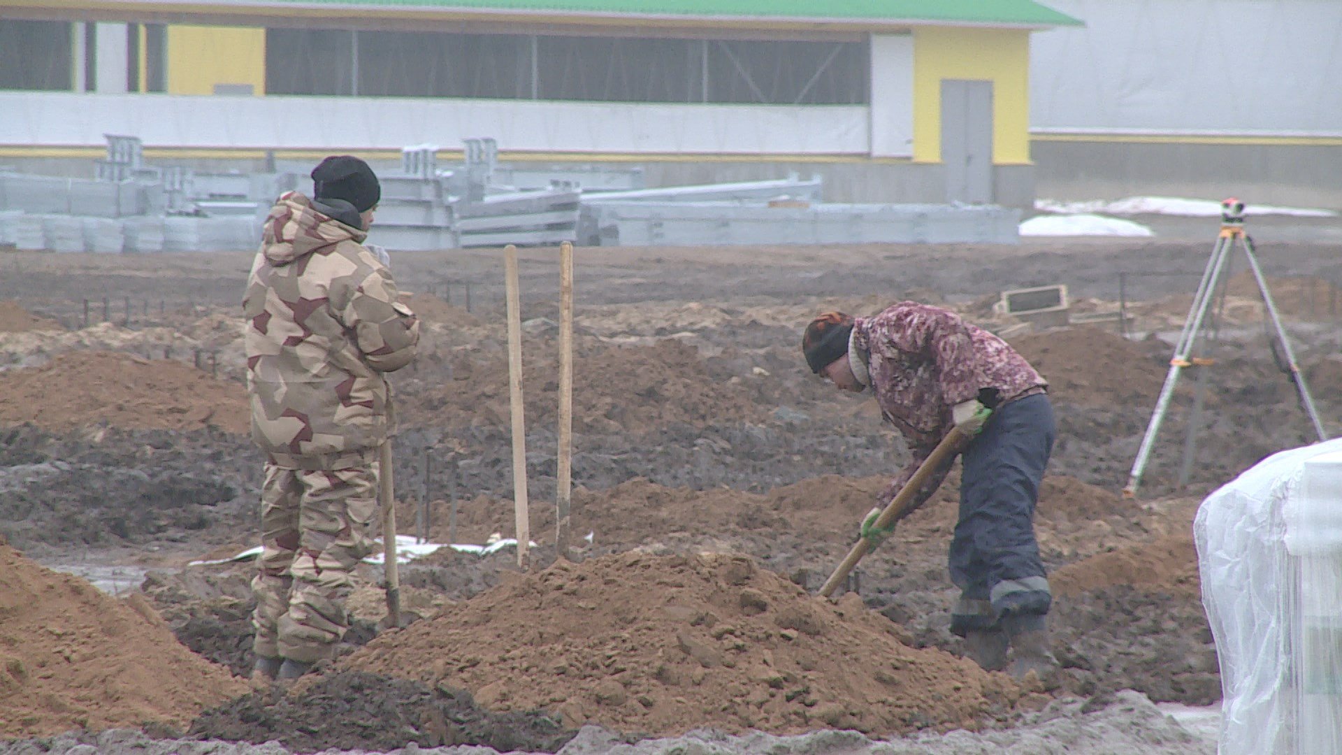 Экологический ущерб на 130 миллионов рублей нанес местный житель землям Волгоградской области
