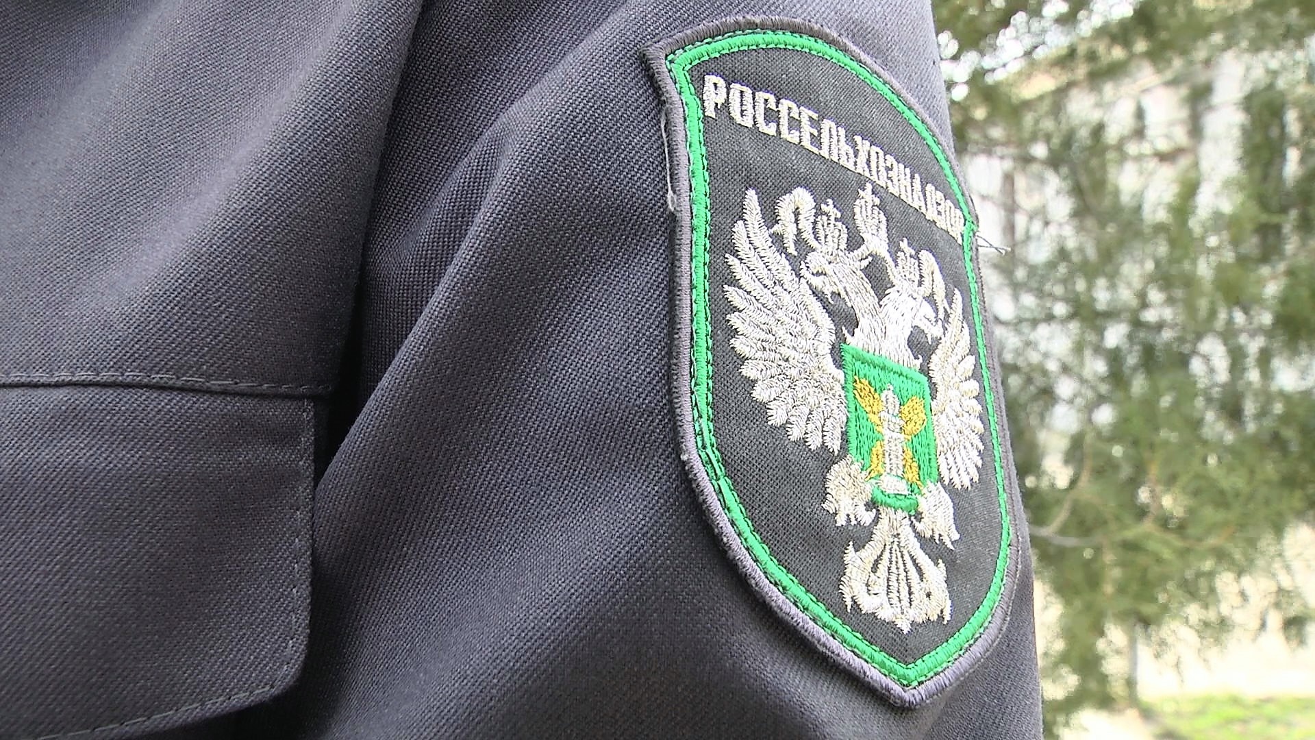 Разлив жидких отходов обнаружили в Волгоградской области