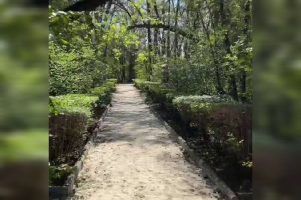 Дендрарий с белками на юге Волгограда откроется с 1 мая