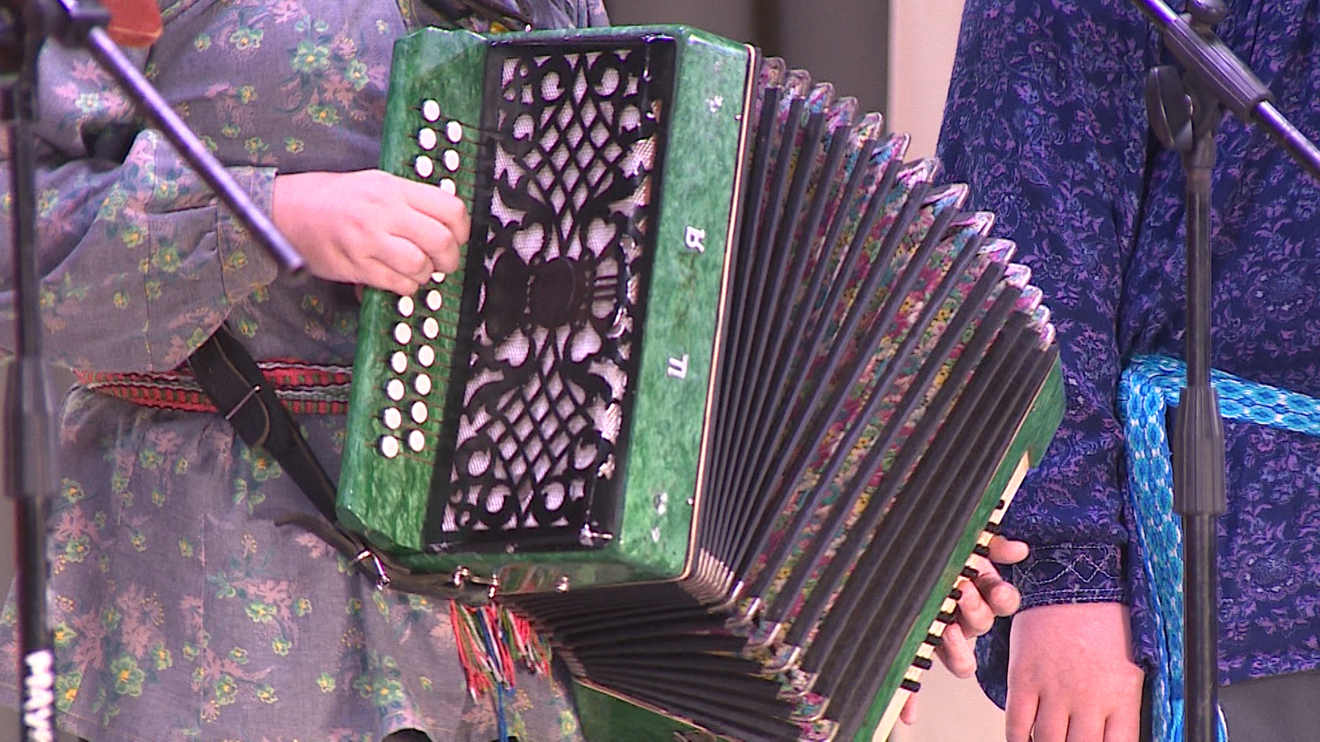 В Волгоградской области фестиваль «Сталинградская гармонь» посвятили 80-летию Великой Победы