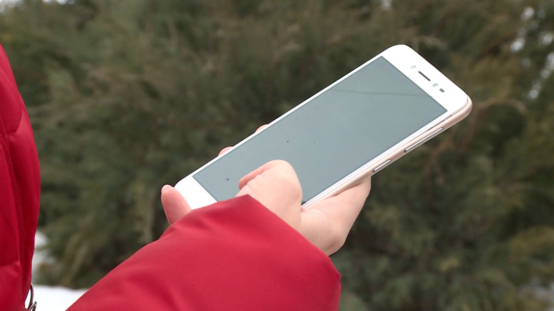 Жительницу Волгоградской области оштрафовали за оскорбление знакомой и ее покойной дочери в СМС