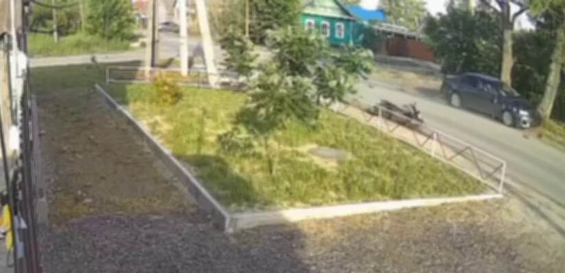 Двое мальчиков попали в больницу после столкновения мопеда с легковушкой в Волгограде