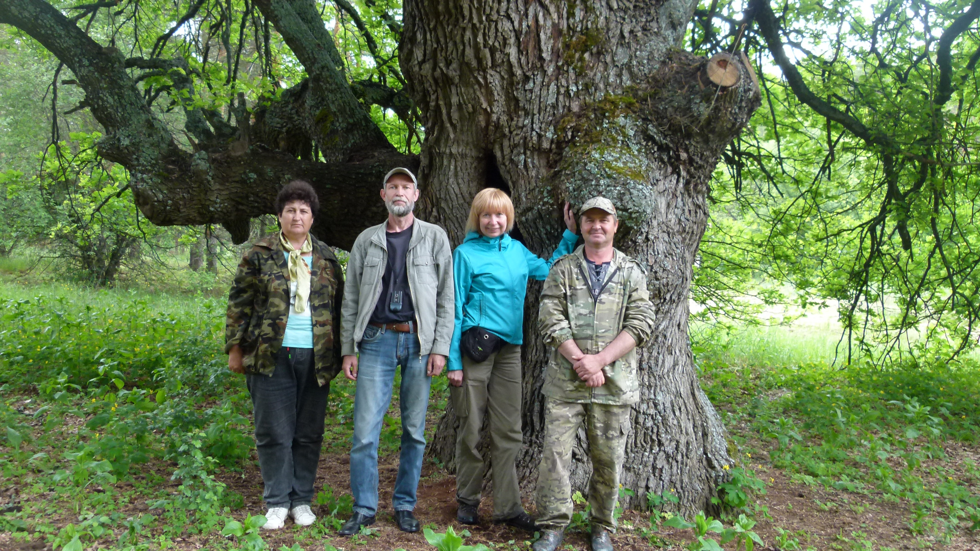 В природном парке Волгоградской области ученые-микологи выявили краснокнижные грибы