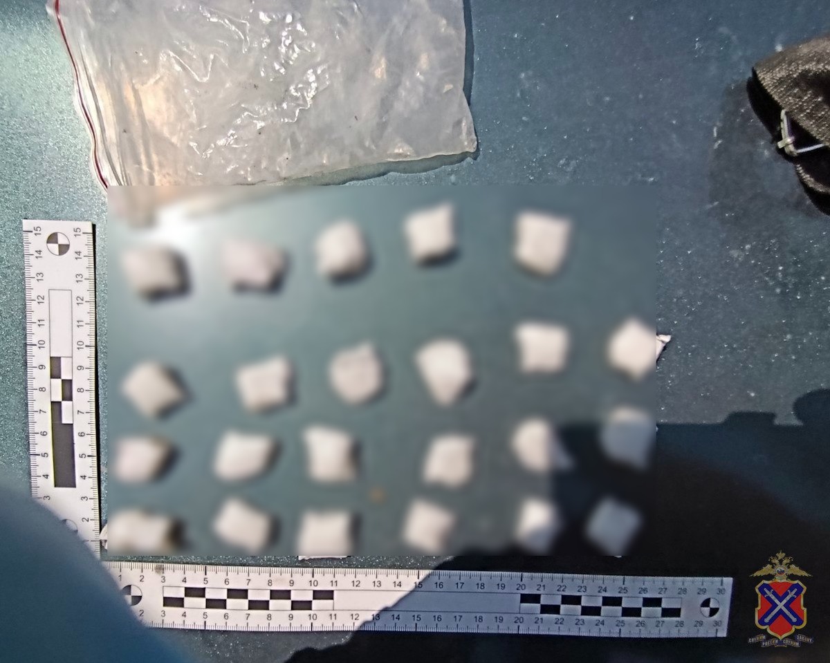 В Волгоградской области полицейские задержали закладчика тяжелых наркотиков