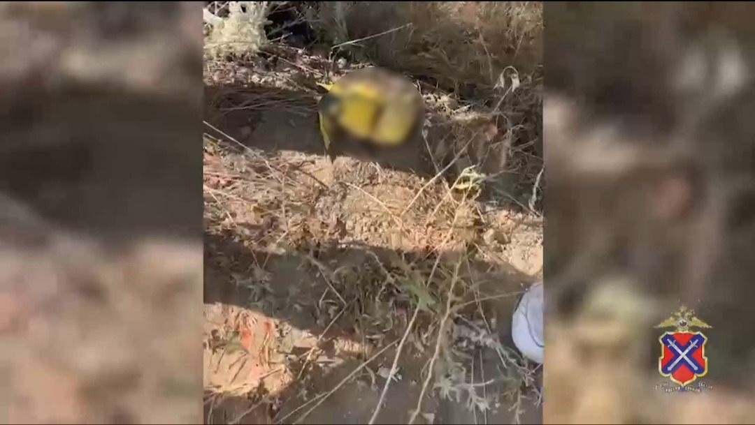 До 20 лет тюрьмы грозит 16-летнему закладчику из Волгоградской области