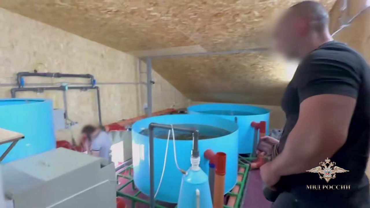 В одном из автосервисов Волгограда подпольно выращивали осетровых