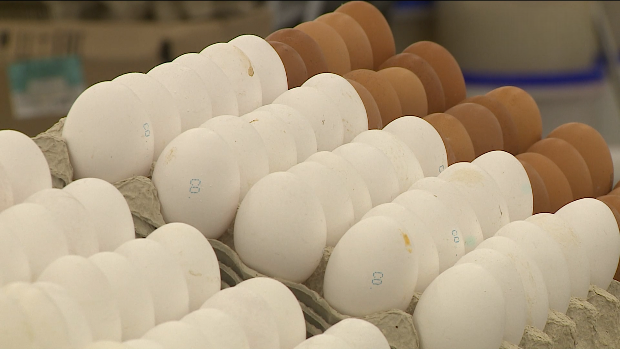 В Волгоградской области обвалились цены на яйца и повысились на огурцы