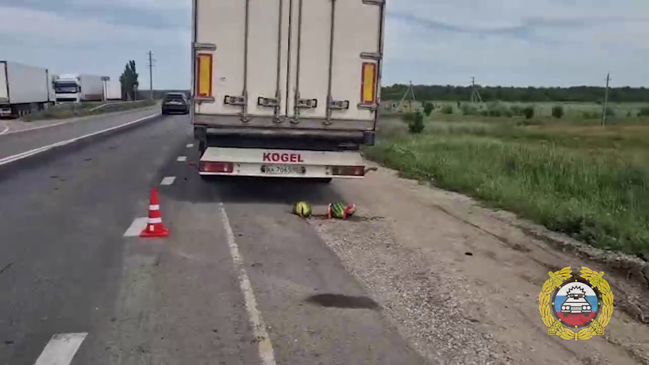 Иномарка насмерть сбила чинившего фуру водителя под Волгоградом