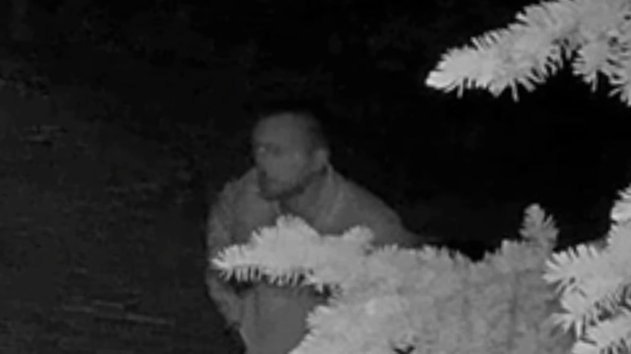 Появились новые кадры с вандалом, испражнившимся на фигурку Чебурашки в Волжском