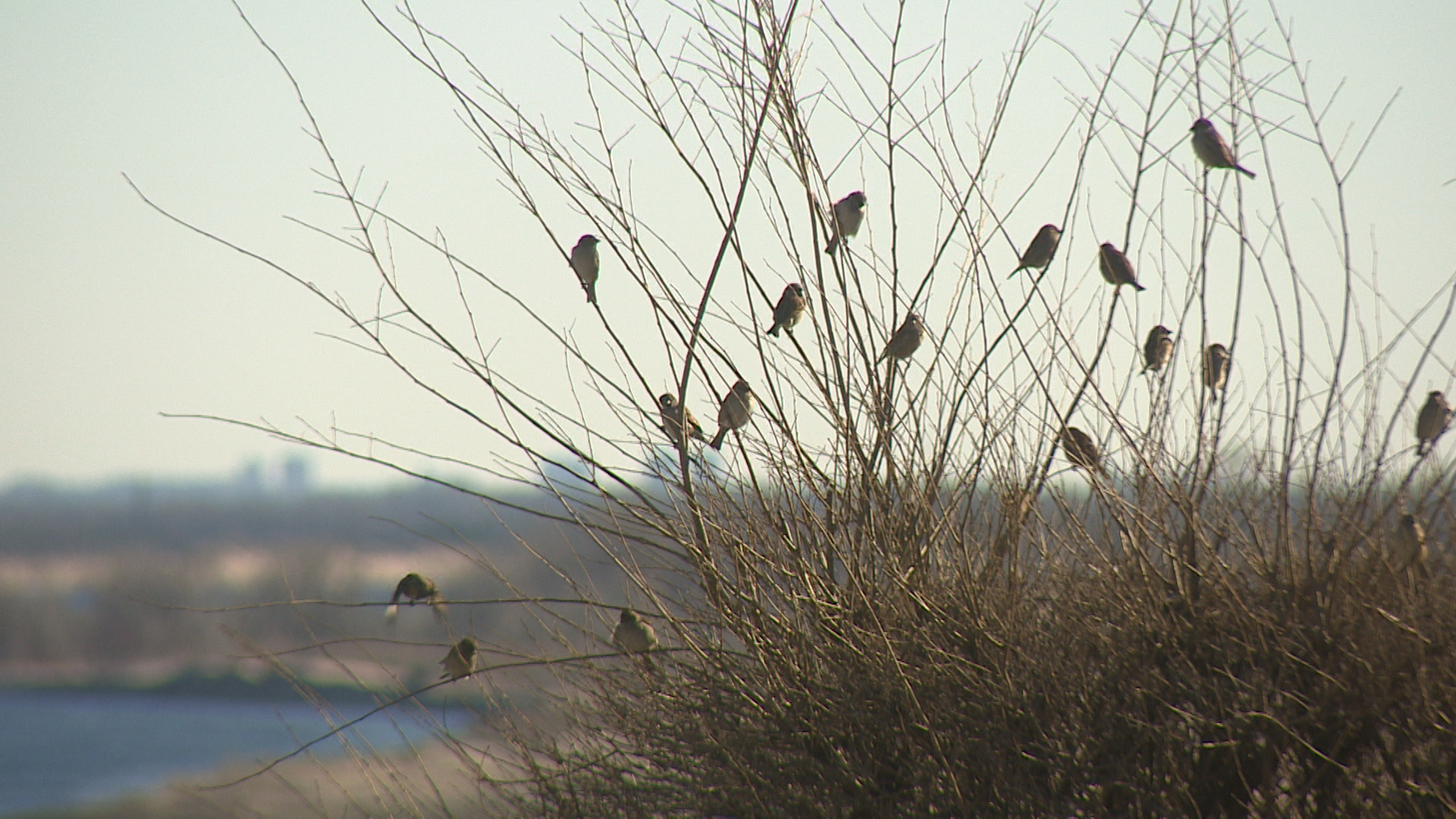 Радиационную обстановку оценили в Волгоградской области