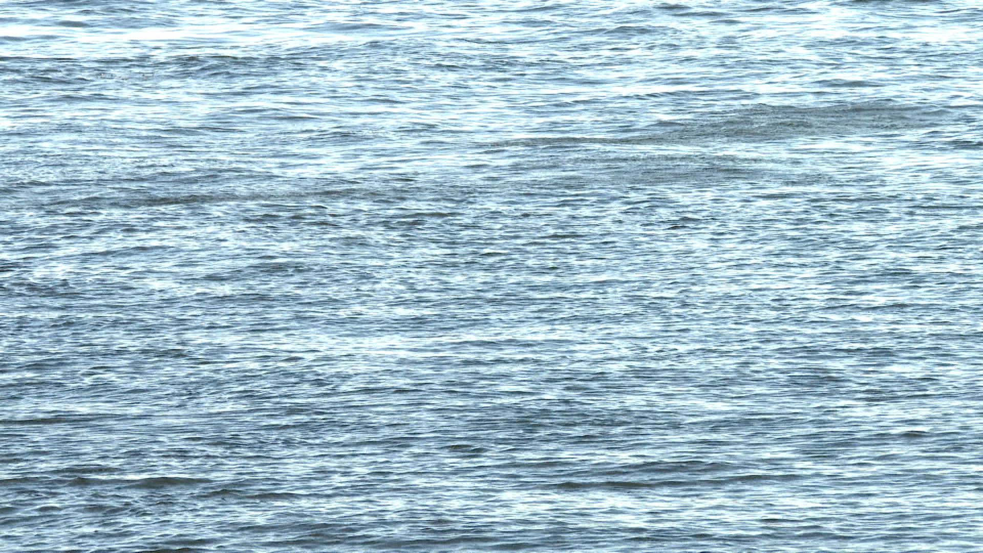 В Волгограде в акватории реки Волга ищут тело без вести пропавшего мужчины