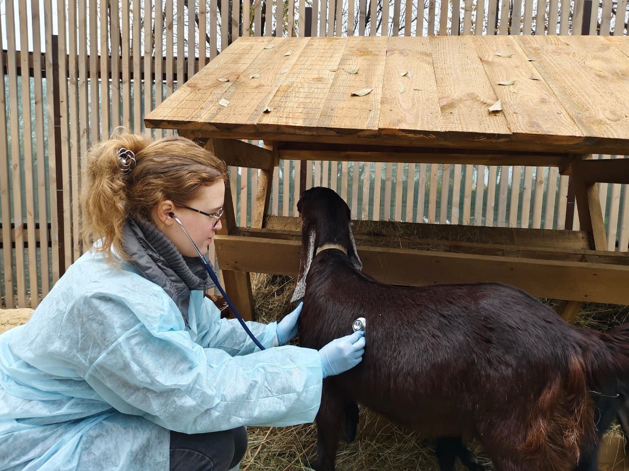 Ветеринары проверили здоровье обитателей живого уголка в ЦПКиО Волгограда