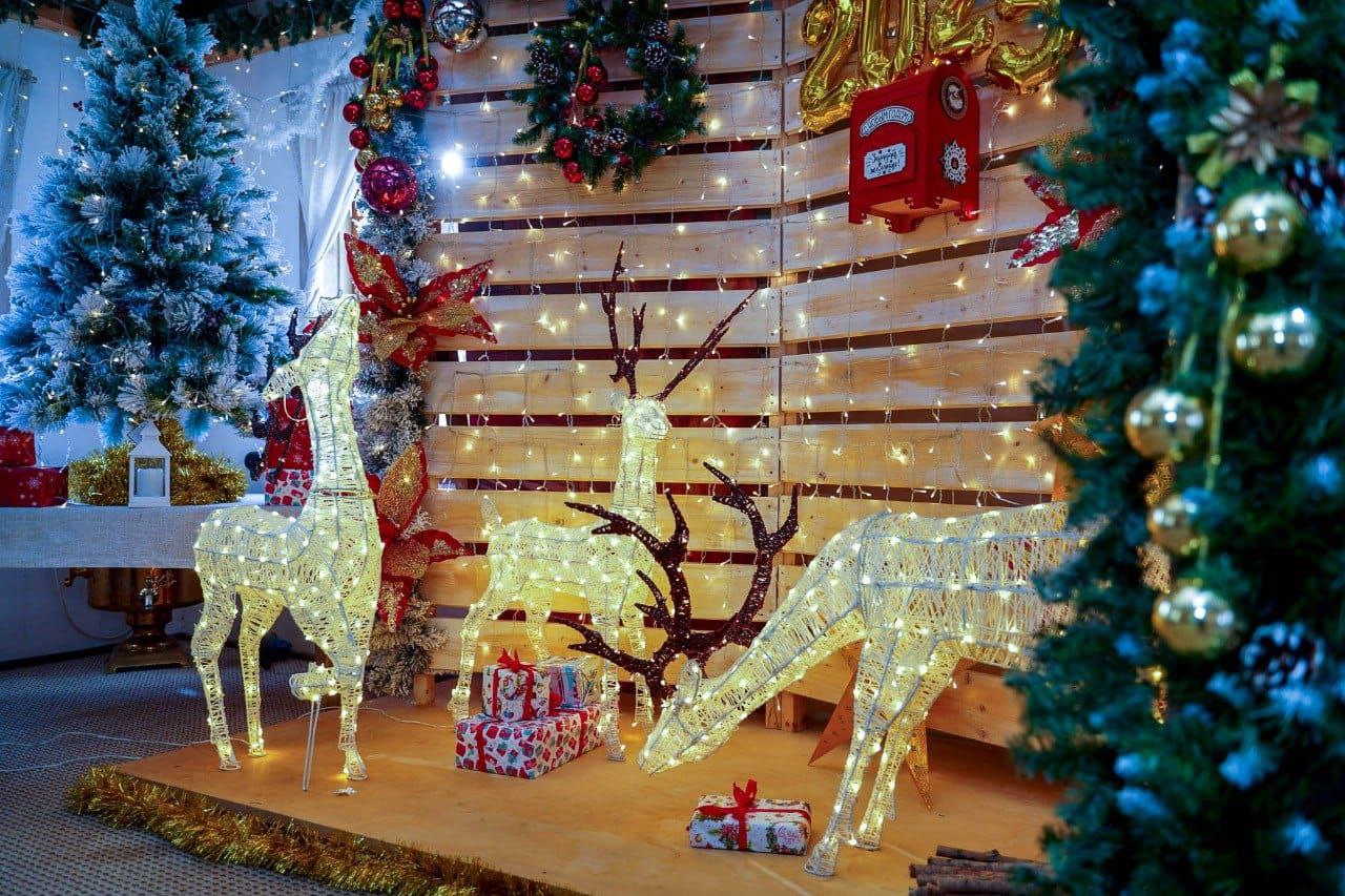 К Новому году ЦПКиО Волгограда украсят более 27 километров гирлянд