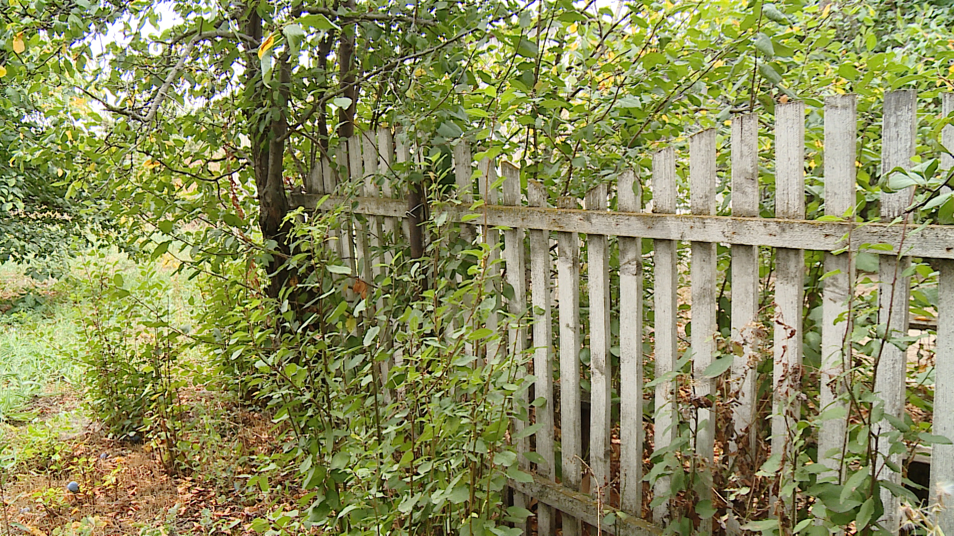 Два частных дома повреждены в ходе ночной атаки БПЛА в Волжском