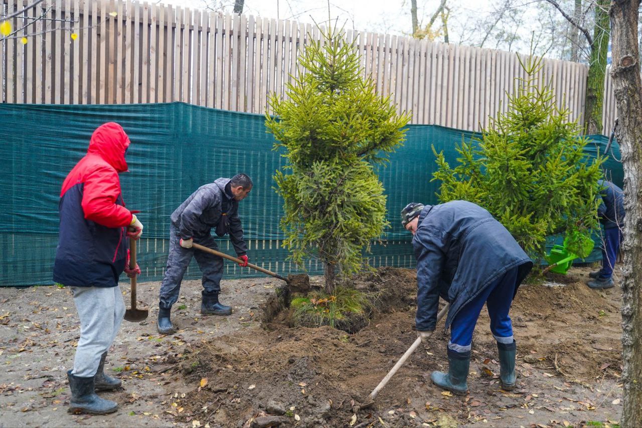 Более 70 деревьев и кустарников украсят живой уголок в ЦПКиО Волгограда