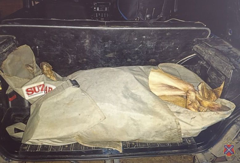 Браконьера с тушами косуль и «Сайгой» поймали под Волгоградом