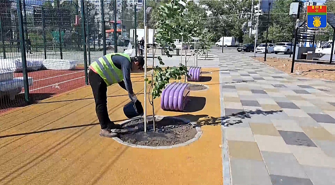 Почти 500 растений украсили парк Героев-летчиков в Волгограде