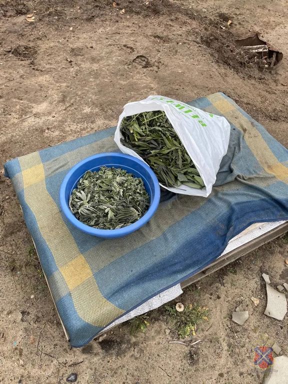 Волгоградские полицейские задержали участников банды, причастных к наркообороту