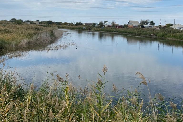 В Волгоградской области разработали проект расчистки участка реки Торгун