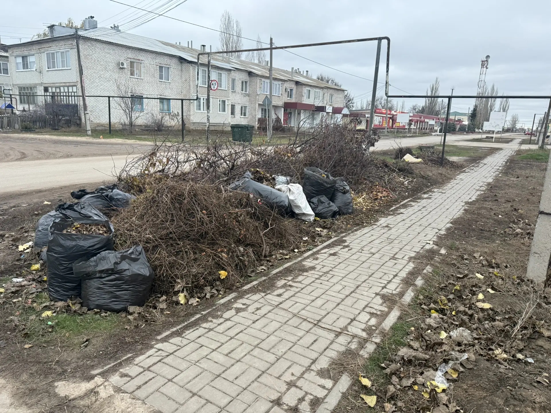 В Волгоградской области ликвидировали свалку по требованию прокуратуры