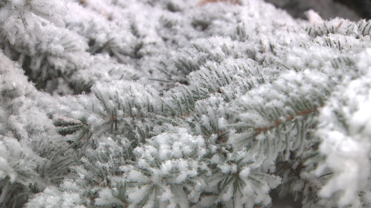 Снег с похолоданием прогнозирует Волгоградский ЦГМС на выходных