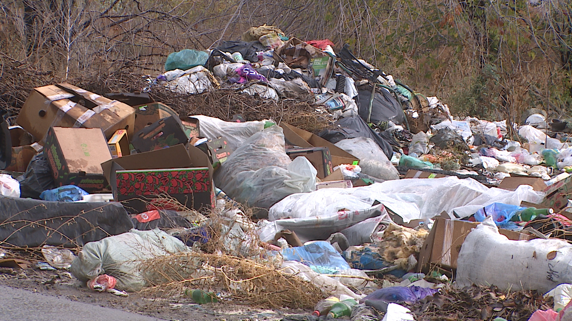 Под Волгоградом собственника обязали очистить от мусора 500 «квадратов» сельхозугодья