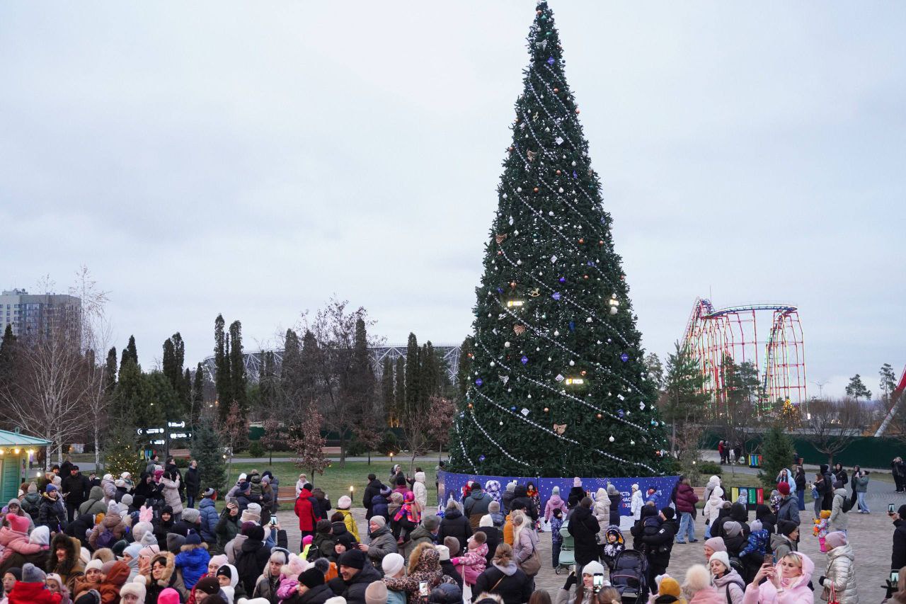 Огни на двух больших новогодних елях зажгли в Волгограде