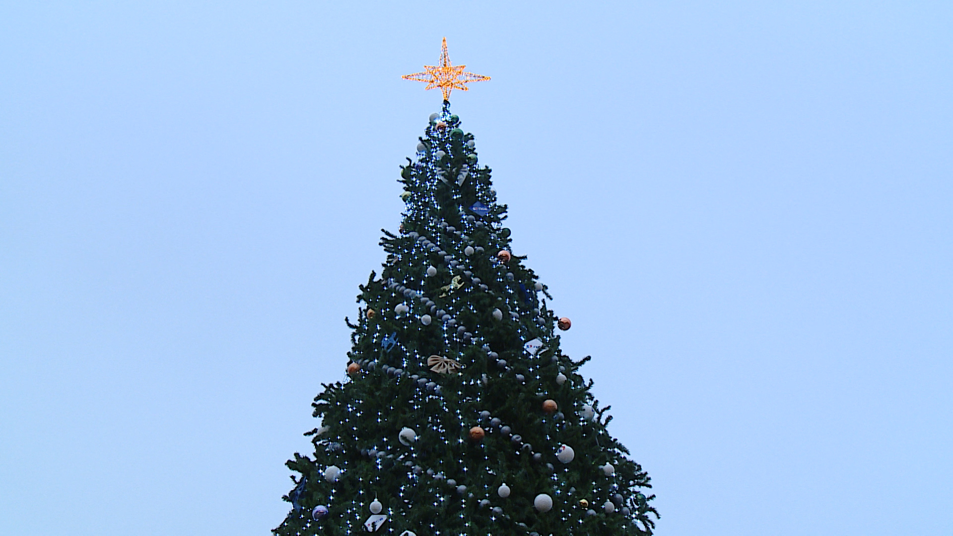 Огни засияли на 20-метровой ели в Центральном парке Волгограда