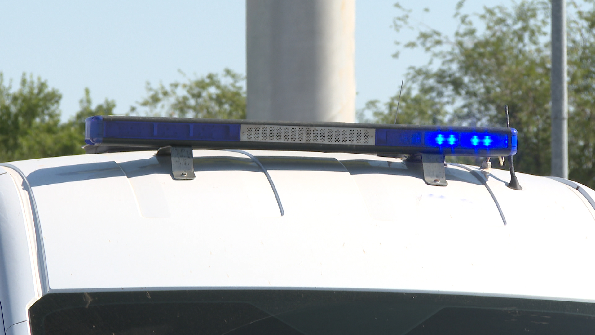 В школе Волжского проведут проверку после травмирования ученика