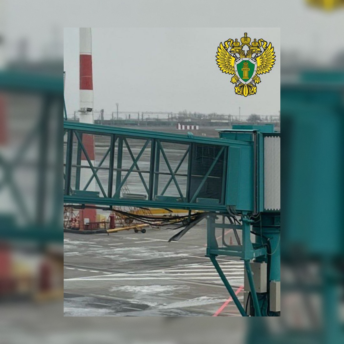 Южная транспортная прокуратура проведет проверку после инцидента в аэропорту Волгограда