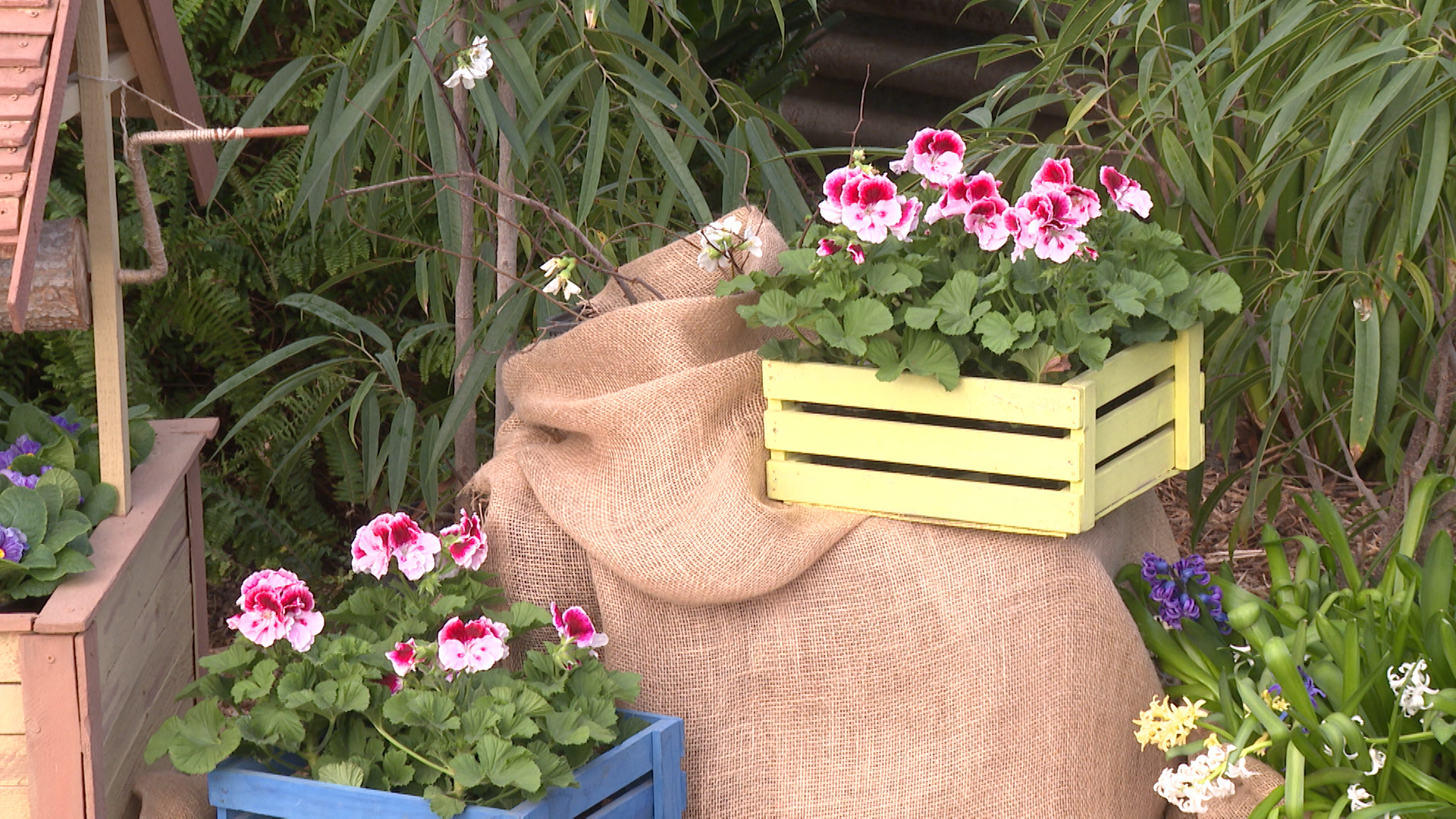 Волгоградский региональный ботсад принял рекордные 43 тысячи человек в 2025 году