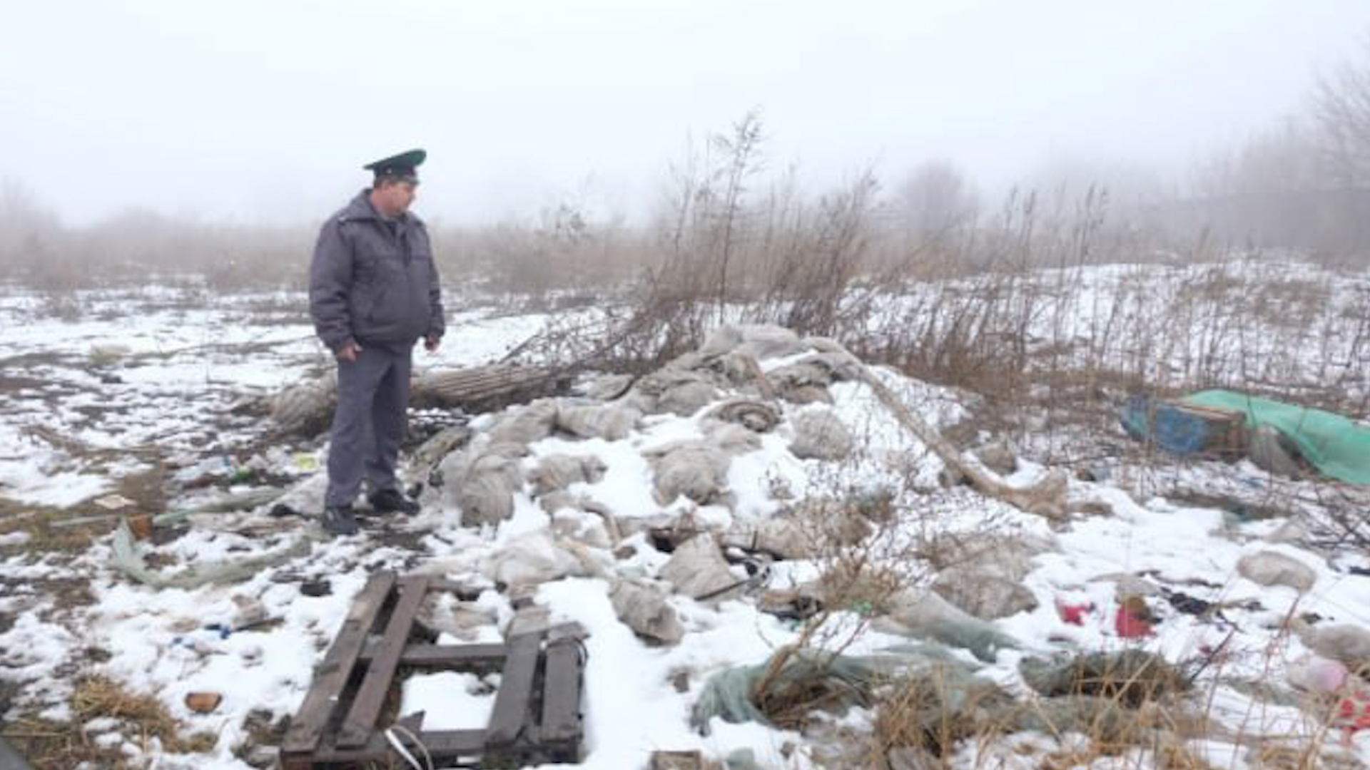 Свалка на сельских полях под Волгоградом разрослась на 4 тысячи «квадратов»