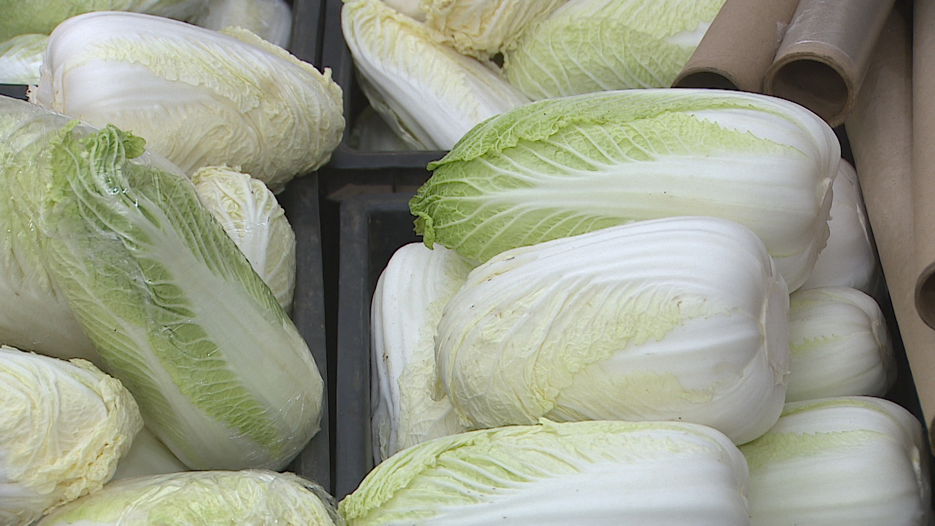 Белокочанная и пекинская капуста из Волгоградской области достигла крупных торговых сетей