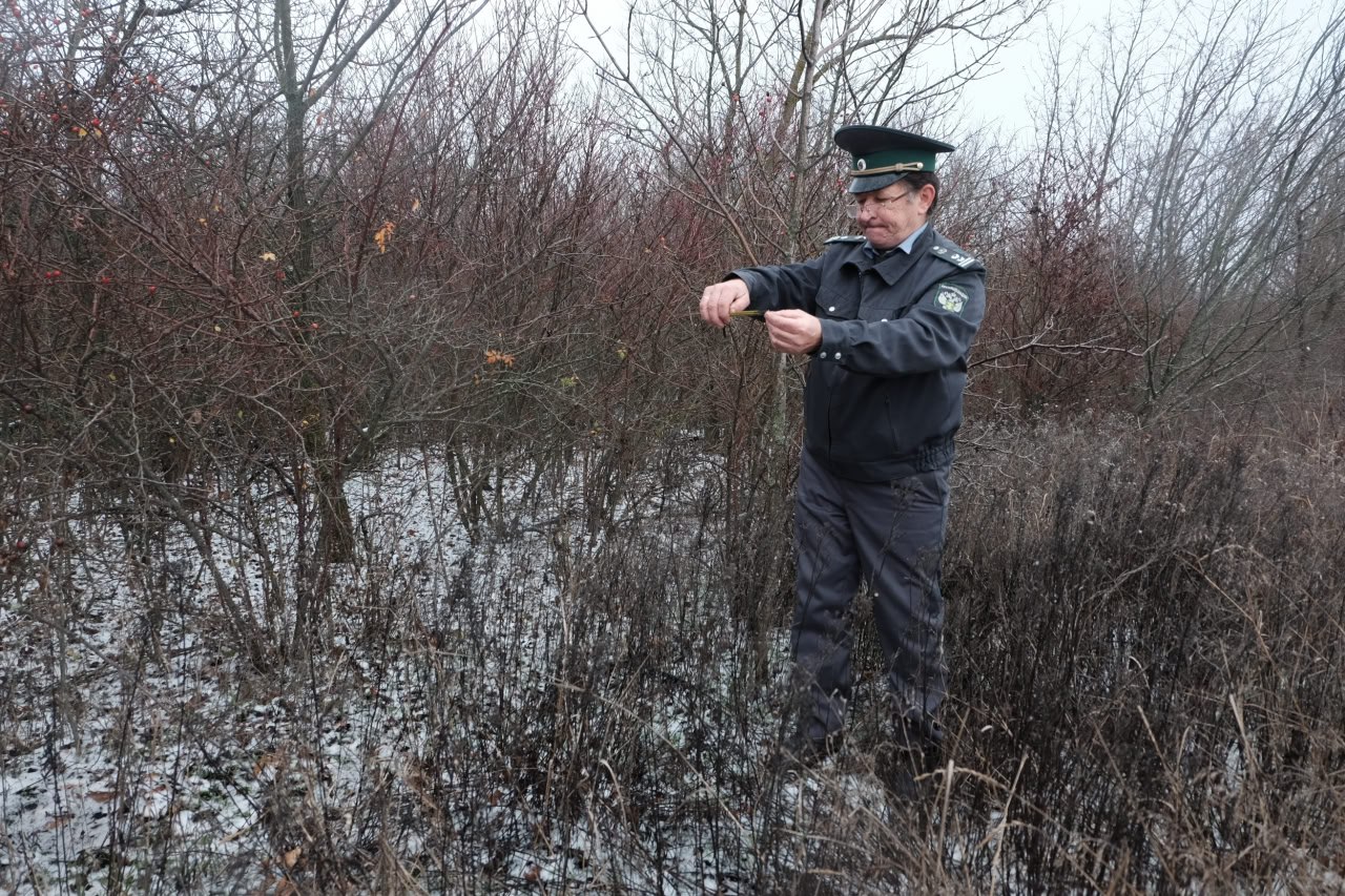 Больше 4 гектаров сельского поля испорчено сорняками в Волгоградской области