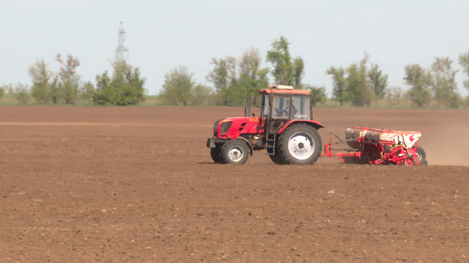 Два агрария посеяли в Волгоградской области 24 тонны семян сомнительного качества