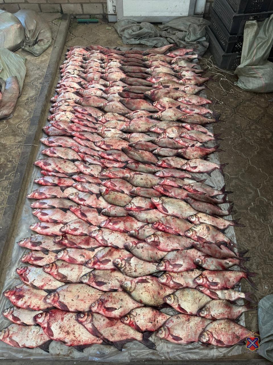 В Волгоградской области задержали супругов с 1,7 тонны нелегальной рыбы