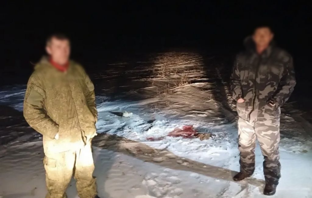 На охотников завели уголовное дело за отстрел сайгаков в Волгоградской области