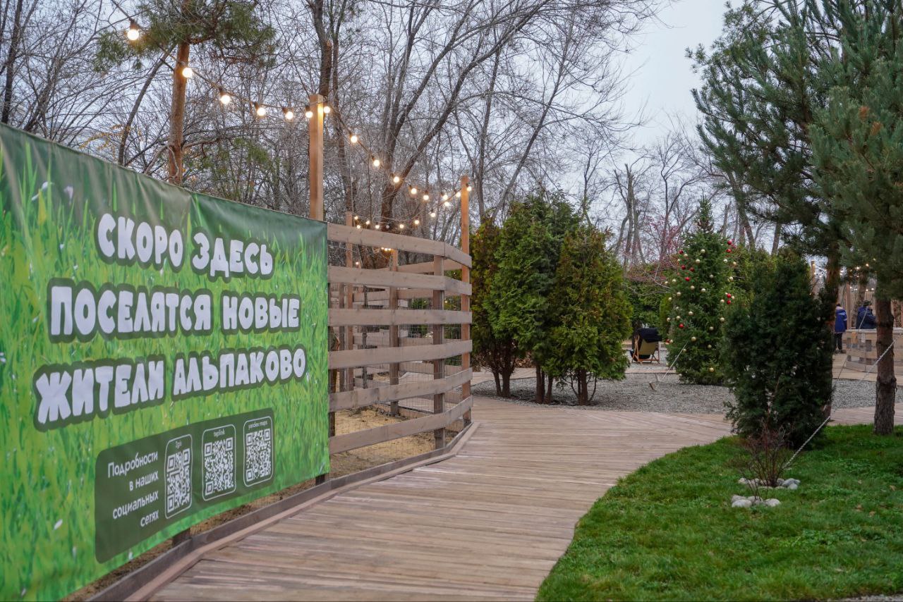 Овечки и пони поселятся в ЦПКиО Волгограда