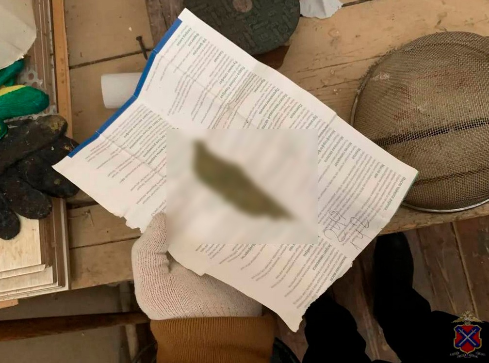 Под Волгоградом мужчине грозит уголовный срок за наркогербарий